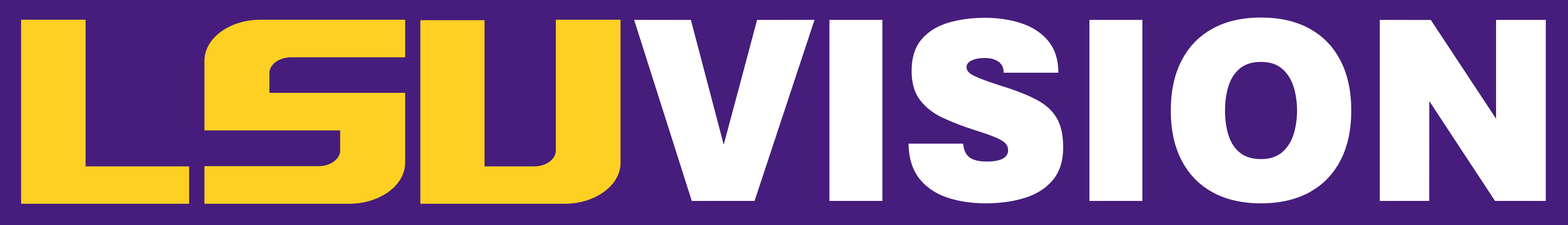 LSU Vision Lab logo
